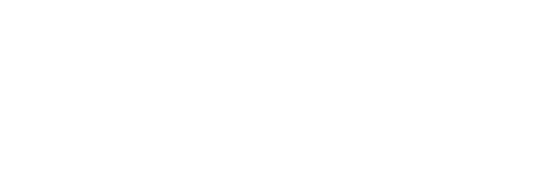 Rich Properties Logo