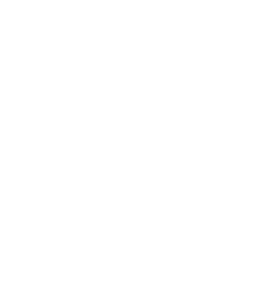 Access Development Group Logo